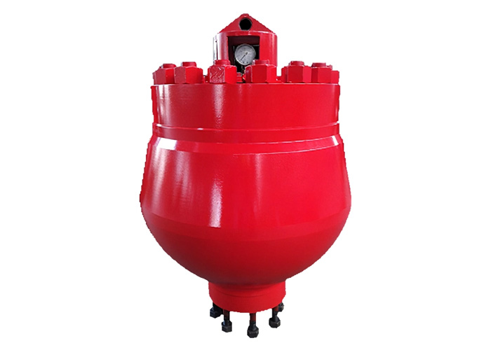 Pulsation Dampener Pulsation Dampener