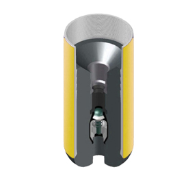 Stab-in Float Collar w/o Latch in Profile